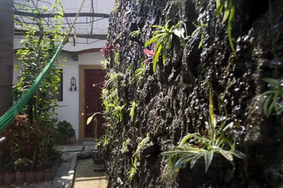 Jardín al aire libre en Las Mariposas Hotel & Studios