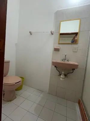 Un baño de Hotel Posada Playa Manzanillo