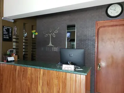 El vestíbulo o zona de recepción de Hotel Edén