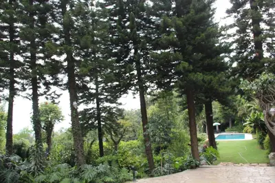 Jardín al aire libre en Tu cabaña Cuernavaca - hospedaje by Arcadia