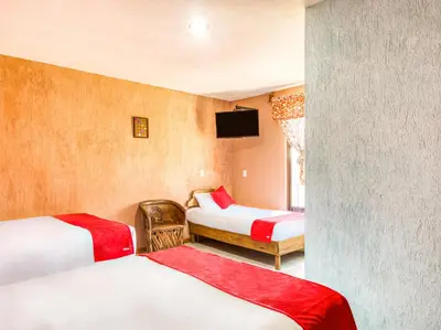 Cama o camas de una habitación en Hotel Vista Markés