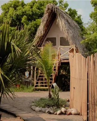 Jardín al aire libre en Entremares