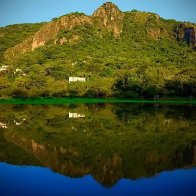 Santuario Ave Fénix-Cabañas