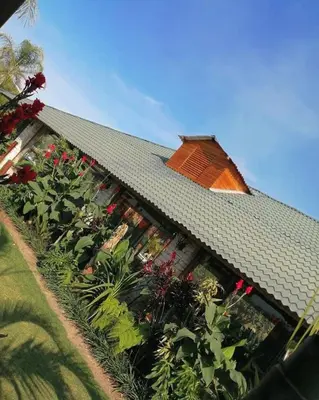 Jardín al aire libre en Cabañas la finca 2