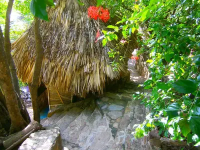 Jardín al aire libre en Lo Cósmico