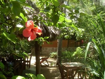 Jardín al aire libre en Lo Cósmico
