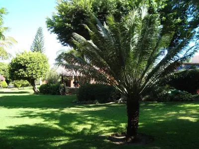 Jardín al aire libre en Casa Marly