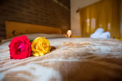 Cama o camas de una habitación en Hotel Casa Pomarrosa