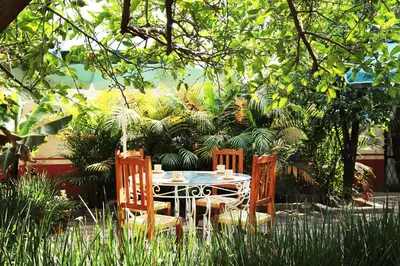 Jardín al aire libre en Hotel Casa Pomarrosa