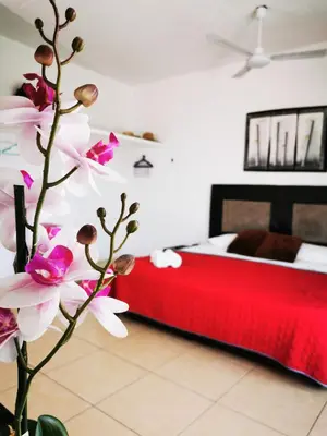 Plano de La Terraza