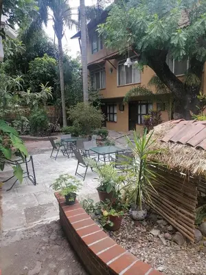 Jardín al aire libre en Posada Bugambilias