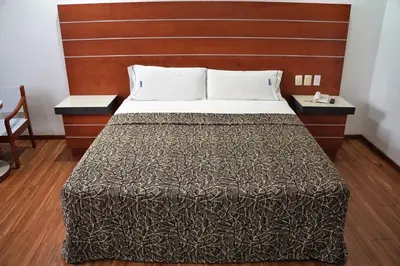 Cama o camas de una habitación en Hotel Duque