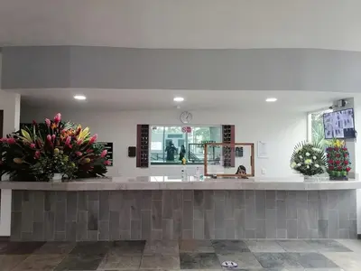 El vestíbulo o zona de recepción de Hotel Las Vias