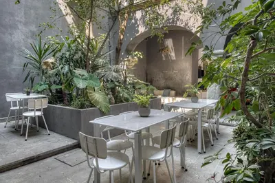 Jardín al aire libre en Pug Seal Oaxaca