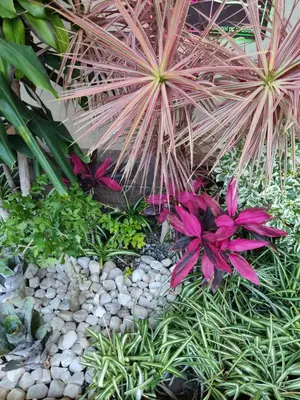 Jardín al aire libre en Finca el Nogal - Casa Entera Familiar Moderna con Amplio Jardín Atlixco puebla