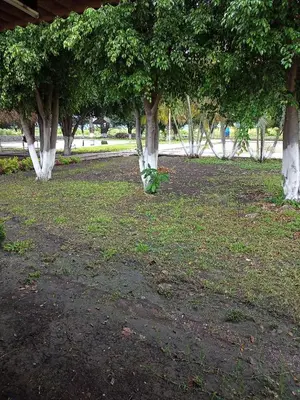 Jardín al aire libre en Lodging and camping the island