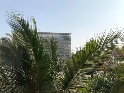 Plano de ACAPULCO aura009