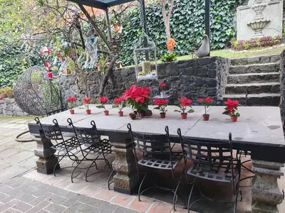Jardín al aire libre en Cerca del Colmex, Flacso y U Pedagogica
