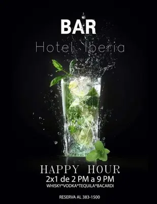 Bebidas en Hotel Plaza Iberia