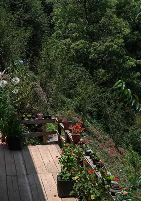 Jardín al aire libre en San José del Pacífico- Cabañas Camino al Cielo 4