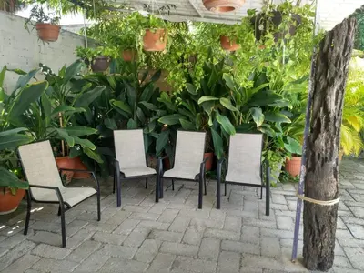 Jardín al aire libre en Hotel Arenas del Pacifico