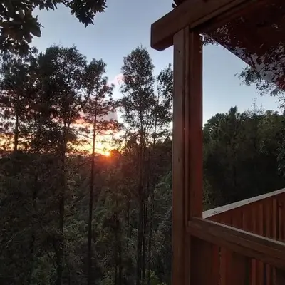 Cabaña en el Bosque de San José del Pacífico