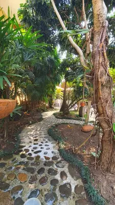 Jardín al aire libre en Casa aroma de café, en el corazón de Coatepec.