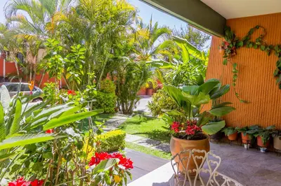 Jardín al aire libre en Casa de las Palmas Guest House