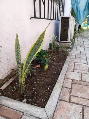 Plano de El Costeñito Hostal