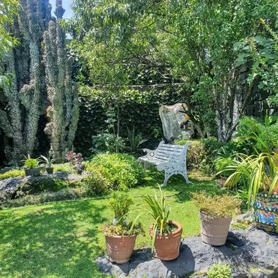 Plano de cozy mini loft near COLMEX FLACSO