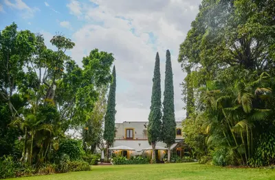 Jardín al aire libre en Hotel Hacienda Los Laureles