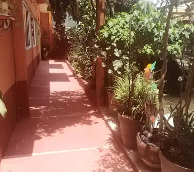 Jardín al aire libre en Depa 1 habitación equipado coyoacan