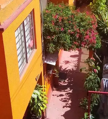 Jardín al aire libre en Depa 2 recamaras Coyoacán