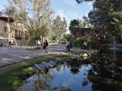 Clientes alojados en Loft en Centro de Val'Quirico Volterra hotel