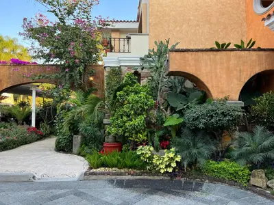 Jardín al aire libre en Mesón de las Delicias