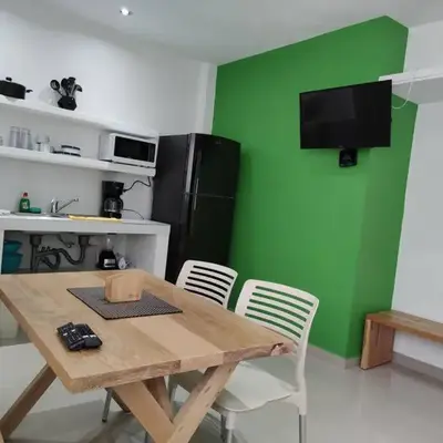Verde Departamento 33 M2 Nuevo