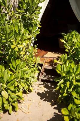 Jardín al aire libre en Porã Chacahua