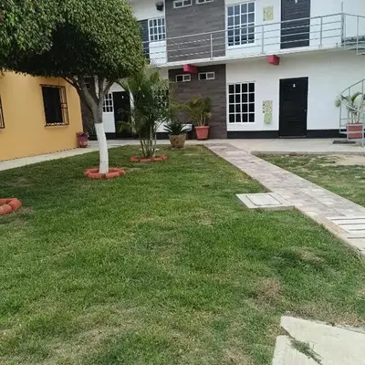 Casa alebrijes