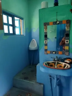 Plano de Casa Ecológica