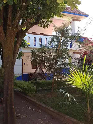 Jardín al aire libre en El mana de San Francisco