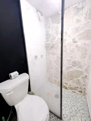 Un baño de Casita del Árbol