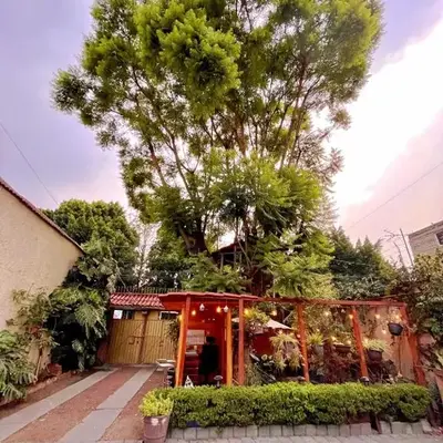 Casita del Árbol