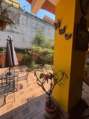 Jardín al aire libre en Hotel Posada 