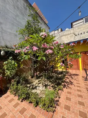 Jardín al aire libre en Hotel Posada 