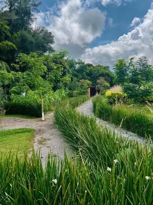 Paisaje cerca de este hotel