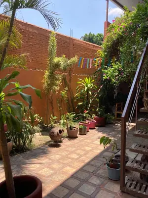 Jardín al aire libre en Acogedora habitación privada en Jalatlaco
