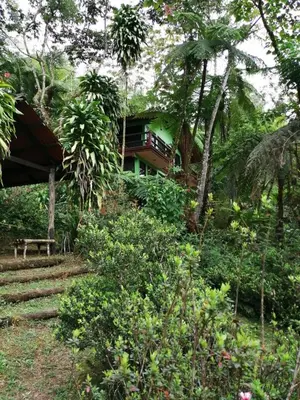 Jardín al aire libre en CABAÑA EL SALTO 2