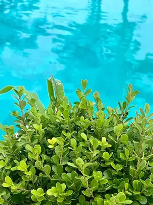 Paisaje cerca de este hotel