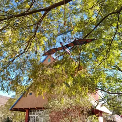 Plano de Cabañita con cocineta y vista a la montaña