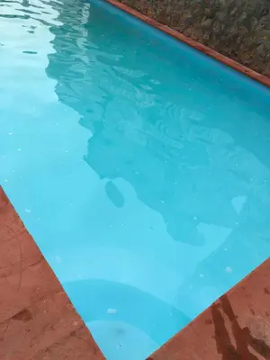 Piscina en o cerca de Departamento sobre Costera, 1min La Quebrada, 3m playas y yates
